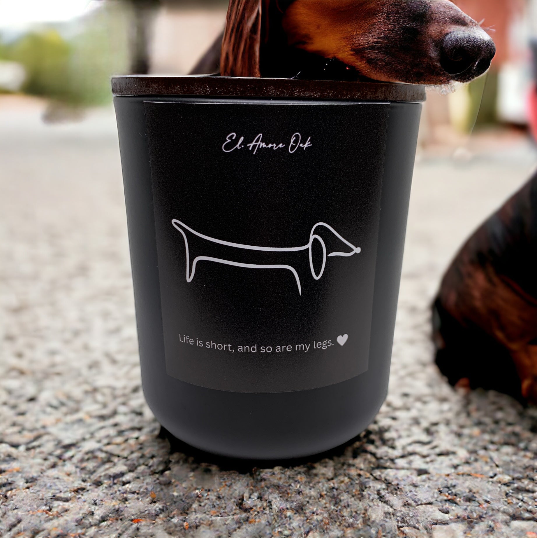 Life Is Short, And So Are My Legs Wooden Wick Candle